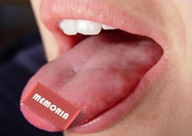 ¿Qué ocurre en el cerebro cuando una palabra se queda en la “punta de la lengua”?