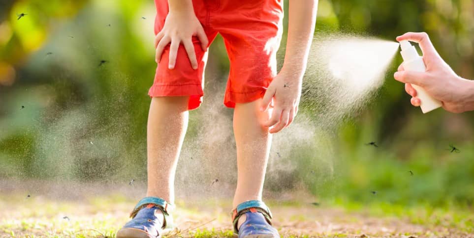 Descubre cómo ahuyentar mosquitos en tu casa con un sólo ingrediente