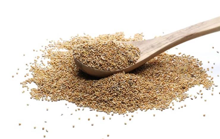 La semilla que cuida la salud de tus riñones y ayuda a eliminar grasa acumulada