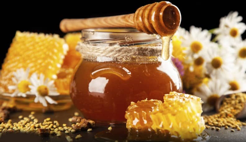 El exquisito alimento que cura las heridas de la piel de inmediato