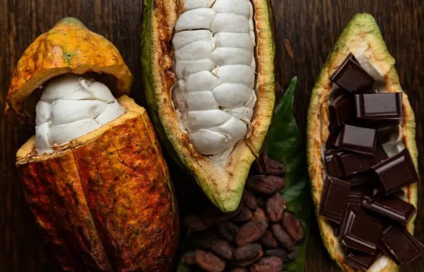 Cuál es el alimento sagrado de los Mayas que protege el corazón y promueve la longevidad