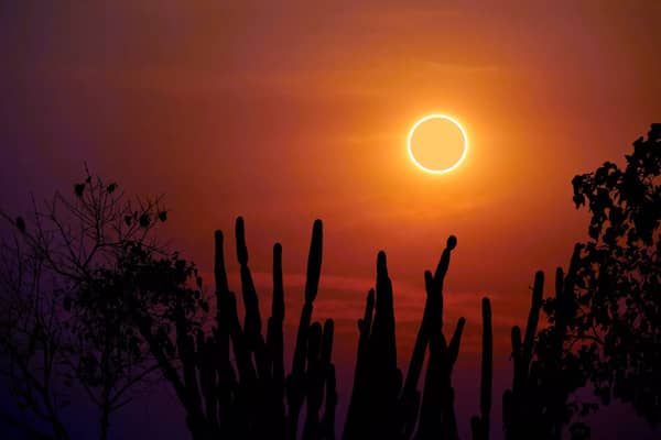 El próximo 8 de abril, se llevará a cabo el Eclipse Solar 2024, siendo Mazatlán, Sinaloa el “mejor lugar del mundo” en poder presenciar este maravilloso fenómeno astronómico, de acuerdo con Gregory Schmidt, científico de la Administración Nacional de Aeronáutica y el Espacio (NASA). Cabe recalcar que este suceso “no se repetirá en esta zona hasta dentro de 300 años”. Para este evento, el cual ya tiene ansioso a más de uno, la Secretaría de Infraestructura, Comunicaciones y Transportes (SICT), a través de la Agencia Espacial Mexicana (AEM), informó que trabajará en conjunto con la agencia espacial estadounidense y la Sociedad Astronómica Mazatleca, en la actividad educativa “Eclipse Total de Sol - abril 2024”. A pesar de que Mazatlán fue elegido como el lugar donde se apreciara mejor el Eclipse Solar, de acuerdo con expertos del Departamento de Ciencias Espaciales de la UNAM, en México, la umbra ingresará por el Océano Pacífico, pasando al norte de México, por lo que también podrá apreciarse en algunos estados de Durango, Coahuila, Nayarit y Sinaloa. ¿Me puedo quedar ciego si veo directamente el fenómeno astronómico sin protección? Según un artículo de American Academy of Ophthalmology, si una persona ve sin protección este fenómeno astronómico, la persona puede sufrir “retinopatía solar”, lo que provoca una pérdida de visión permanente o ceguera, ya que la retina del ojo es extremadamente sensible. Aunque sea un eclipse solar, los rayos UV siguen conservando su intensidad, lo que representa un riesgo para las personas, pues la radiación ultravioleta desarrolla varias enfermedades oculares, a corto y a largo plazo, como la fotoqueratitis, la fotorretinitis, cataratas, pterigión, SCC de la córnea y la conjuntiva y cáncer de párpados. ¿Cuál es la duración recomendada para observar el Eclipse Solar 2024 sin dañar los ojos? De acuerdo con el Gobierno de México, por ningún motivo se debe observar el Eclipse Solar directamente, en caso de querer hacerlo se recomienda utilizar lentes certificados o filtros para soldar del número 14. También hizo las seguientes recomendaciones: No utilizar gafas o vidrios obscuros para ver la imagen del Sol, así como papel aluminio, agua o CD´s. No mirar directamente el Sol, ya que puede dañar la retina en poco tiempo. Se debe observar el eclipse con filtros para soldar del número 14. Para apreciarlo, no se debe utilizar lentes de sol, binoculares, cámaras fotográficas o de video, vidrios ahumados, filtros polarizados, telescopios o películas de color expuestas. Aun con los instrumentos seguros, no mirar por más de 30 segundos.