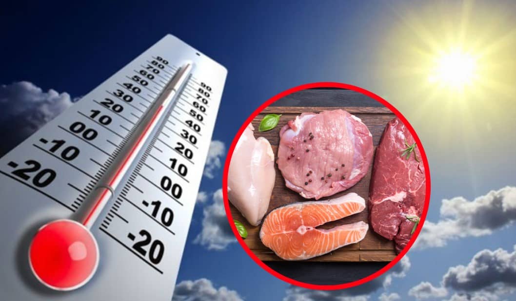 ¿Qué alimentos se descomponen más rápido durante una ola de calor y cómo afectan la salud?