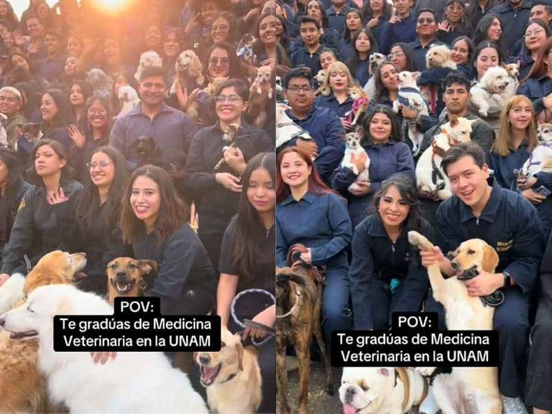 Así fue la encantadora foto de generación de la Facultad de Veterinaria de la UNAM con perros, perros y más perros