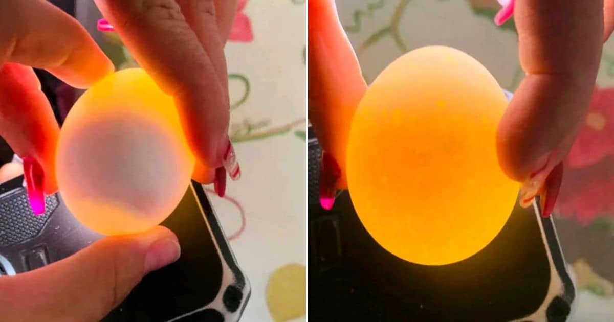 Truco para saber si los huevos están podridos con ayuda del celular