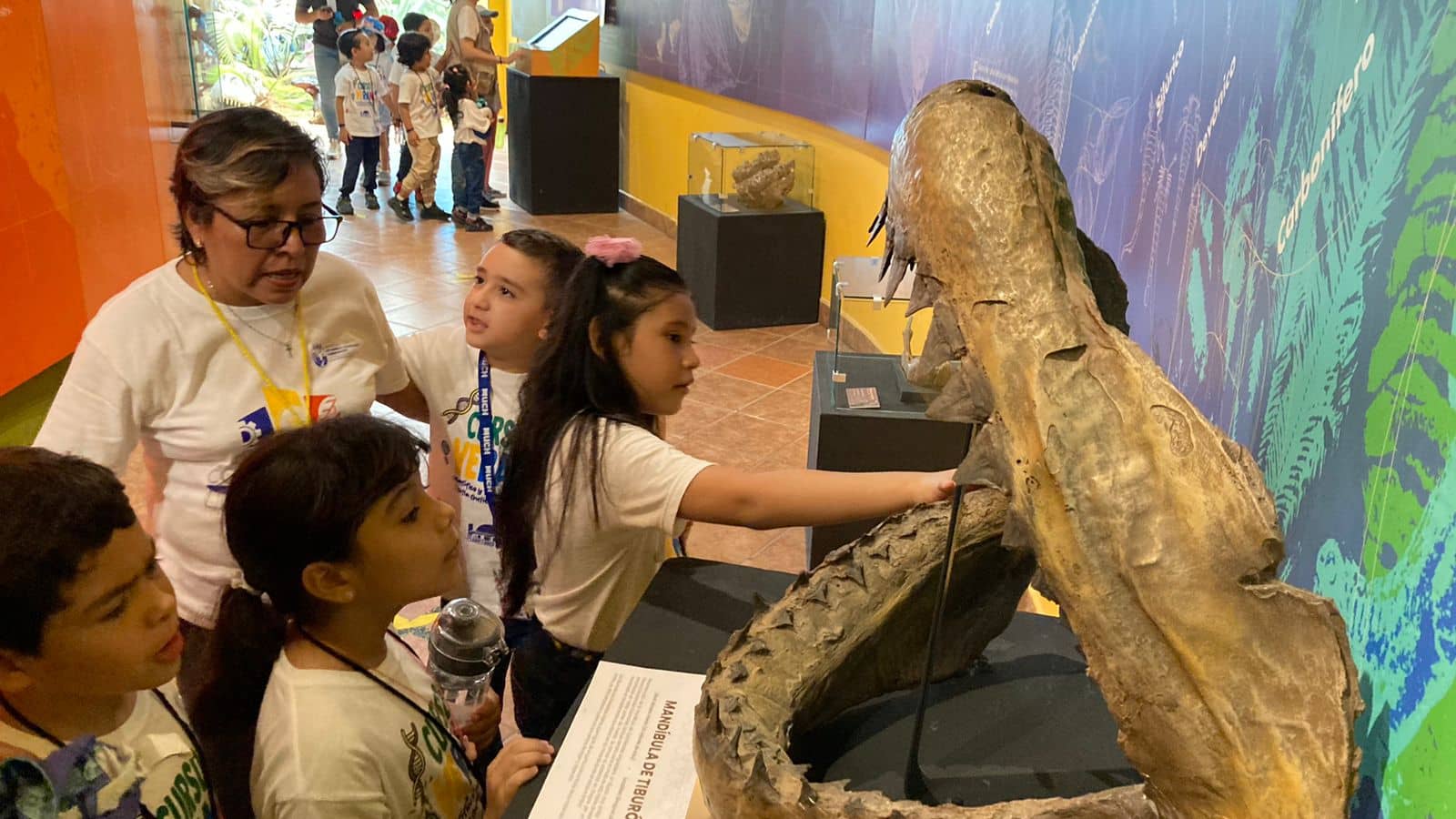 MUCH ofrece cursos de verano científico y tecnológico para niñas y niños