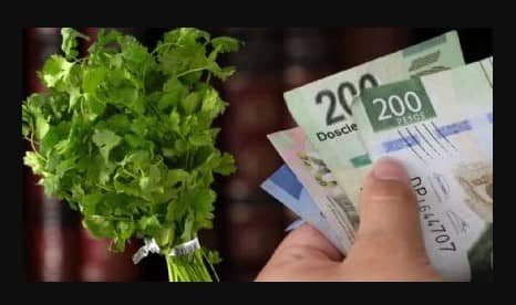 Por sequía, sube precio de cilantro, naranja, carne y más; ve en cuánto se venden