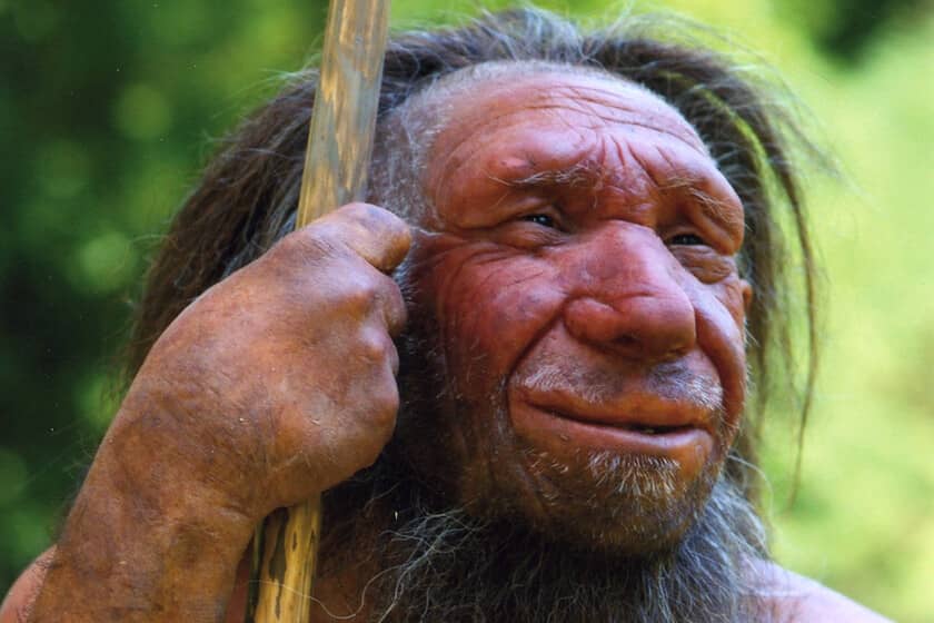 Descubren el primer caso de síndrome de Down en neandertales