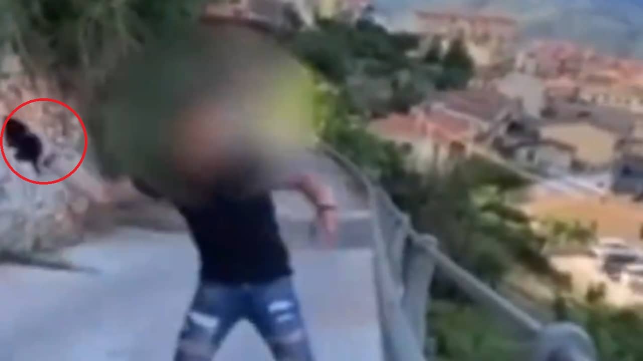 Indignación en Italia por video de joven que lanza un gato por un puente