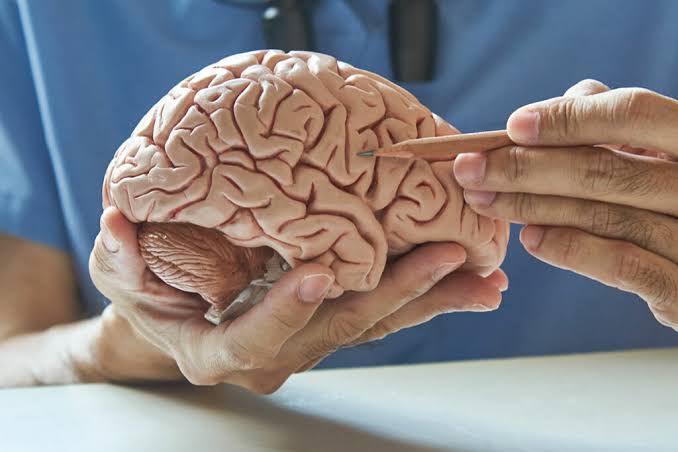 ¿Cuándo acudir al neurólogo?, ve señales y signos de alerta
