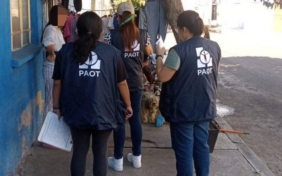 Así puedes denunciar los casos de maltrato animal en la CDMX