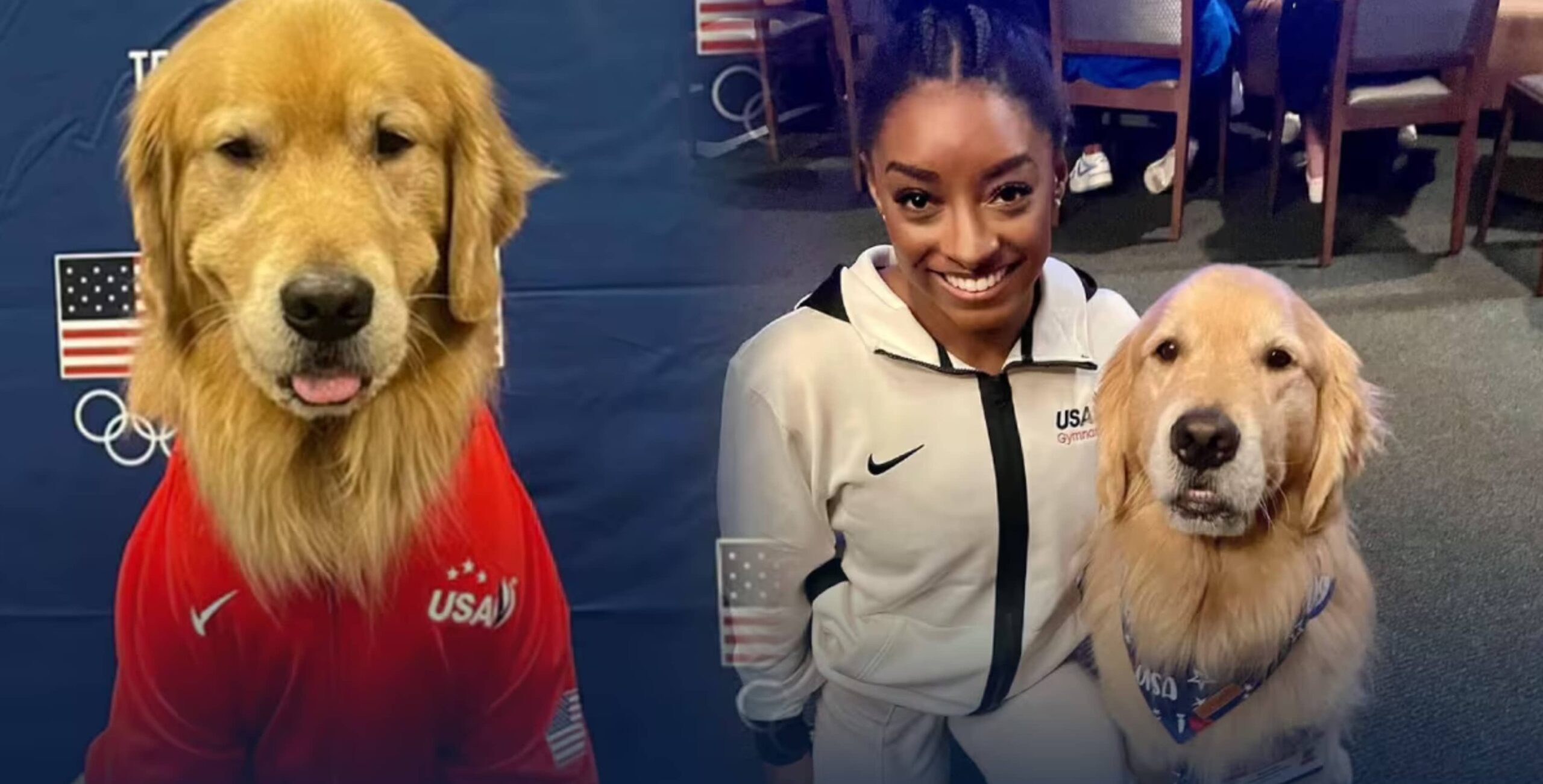 Beacon, el perro del equipo de Gimnasia de Estados Unidos que se unió para ayuda a Simone Biles