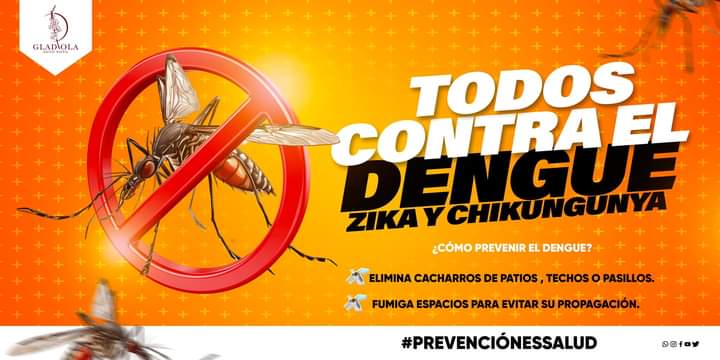 Fundamental, la colaboración de la sociedad en el combate al dengue, zika y chikungunya: Rutilio Escandón