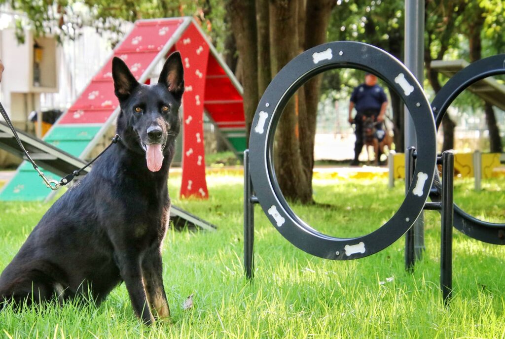 AREA CANINA PARQUE ECOLOGICO TAPACHULA 2 1