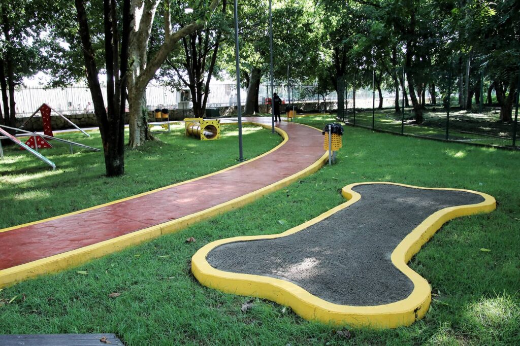 AREA CANINA PARQUE ECOLOGICO TAPACHULA 3 1