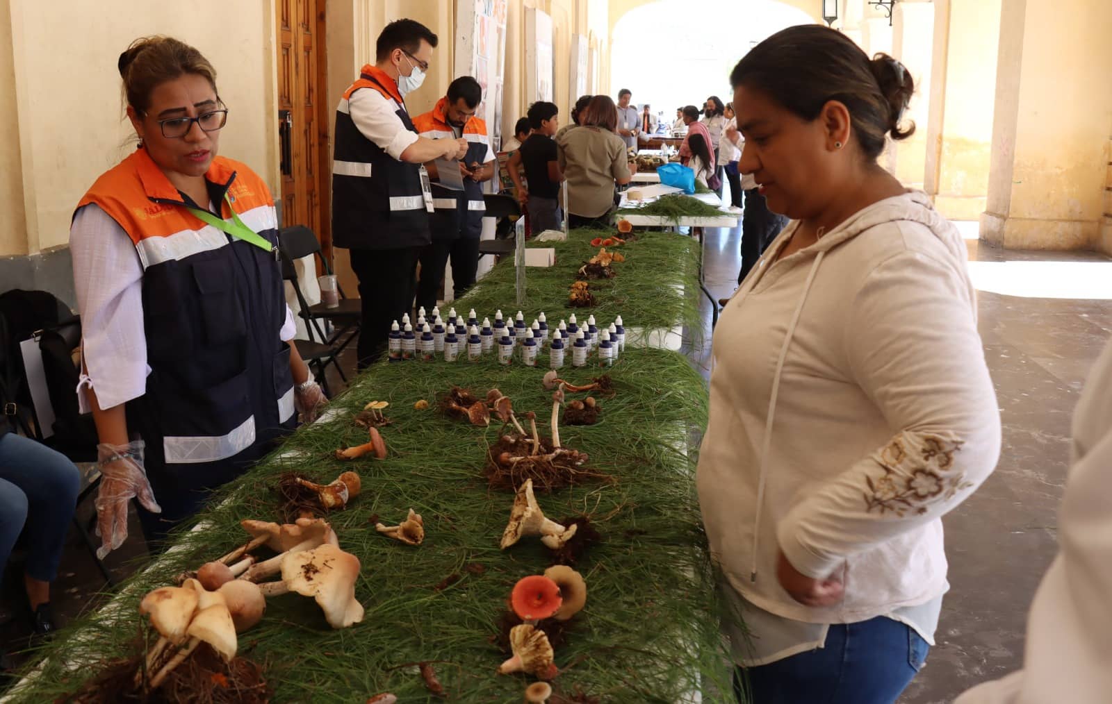 Salud realiza Feria de Hongos para prevenir intoxicaciones