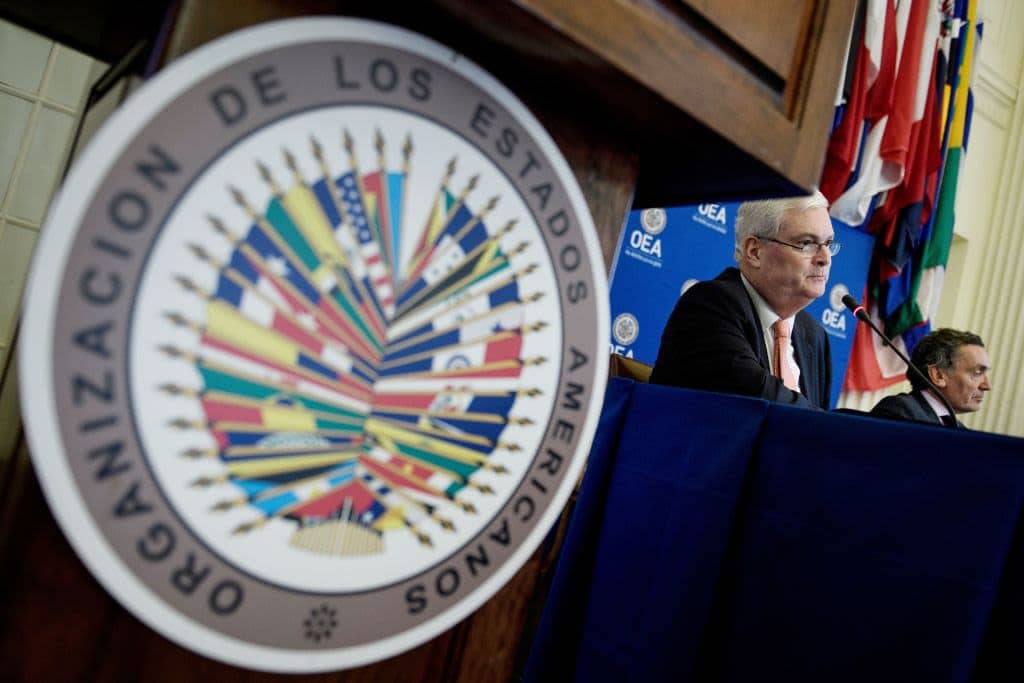 La OEA aprueba una resolución que pide publicar las actas electorales de Venezuela