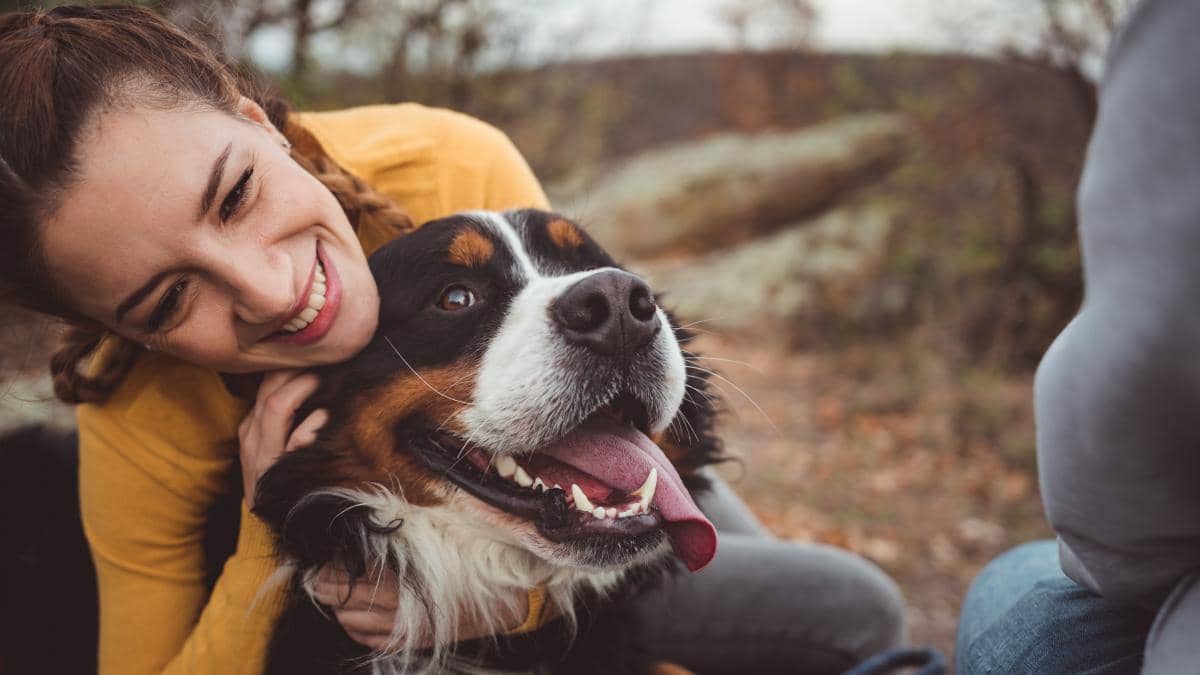 Estudio de Harvard qué tipo de enfermedades previenen los perros en las mujeres