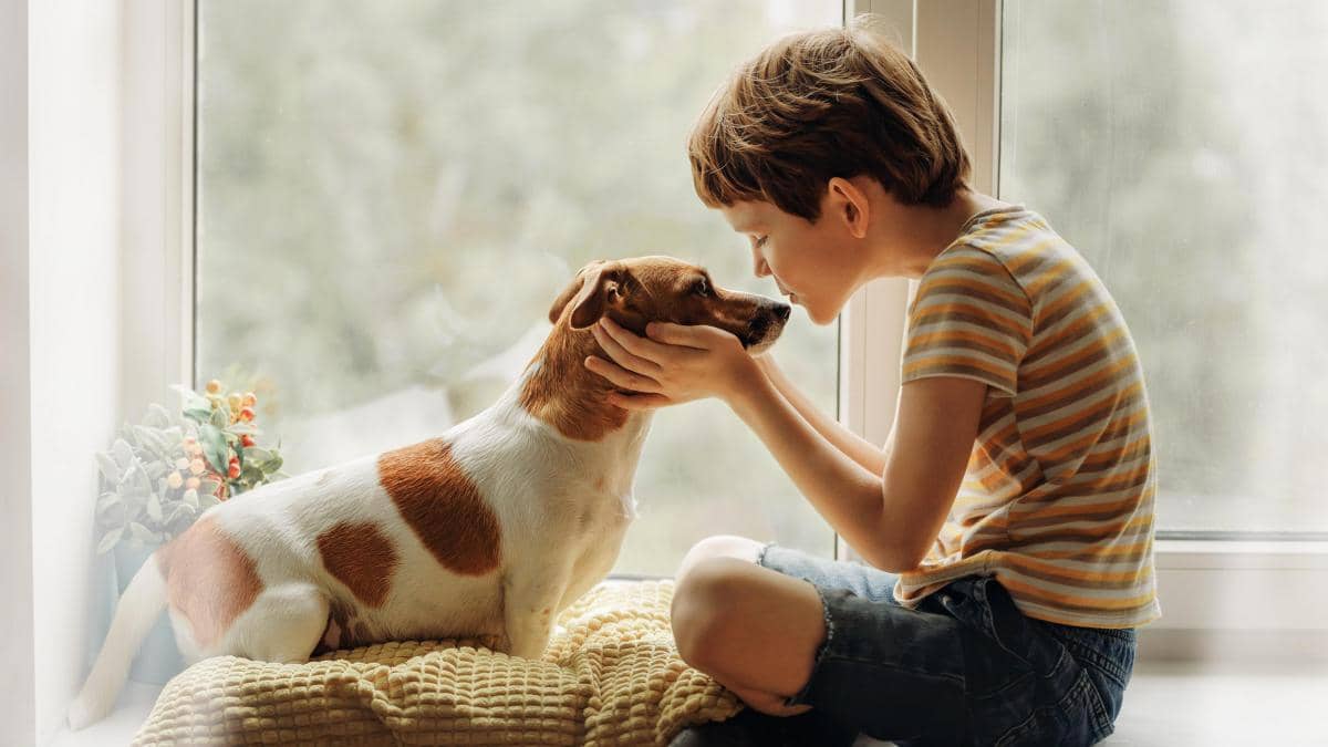 Regreso a clases afecta a tus mascotas; ve cómo prepararlas para el nuevo ciclo escolar