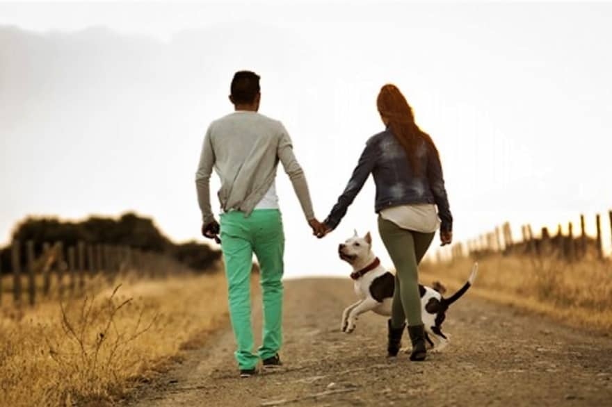 El dilema de elegir entre la pareja y una mascota