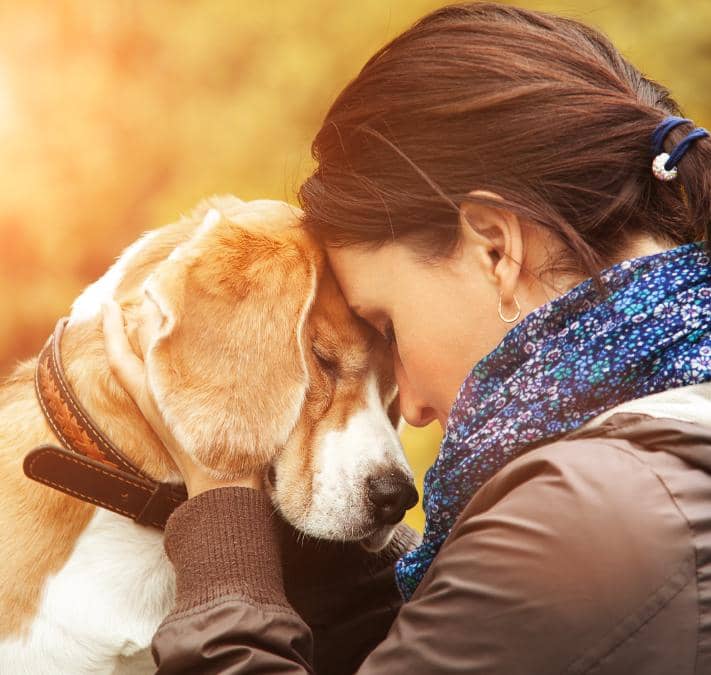 Cómo ven los perros a las personas, según adiestradora canina?