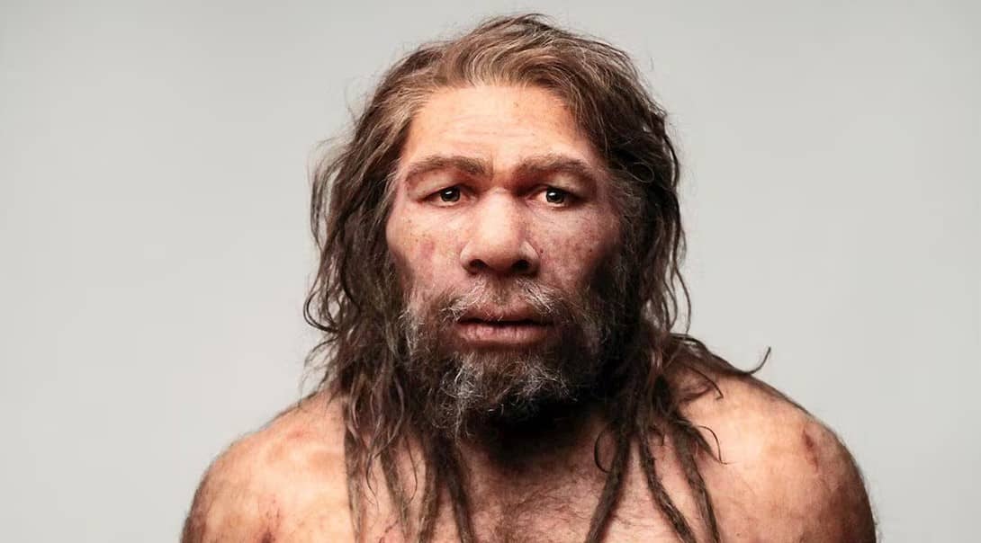 Descubre la particular razón por la que se extinguieron los neandertales, según la ciencia