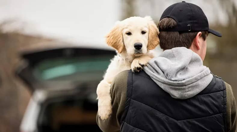 Extorsión con mascotas, delito ignorado en el país