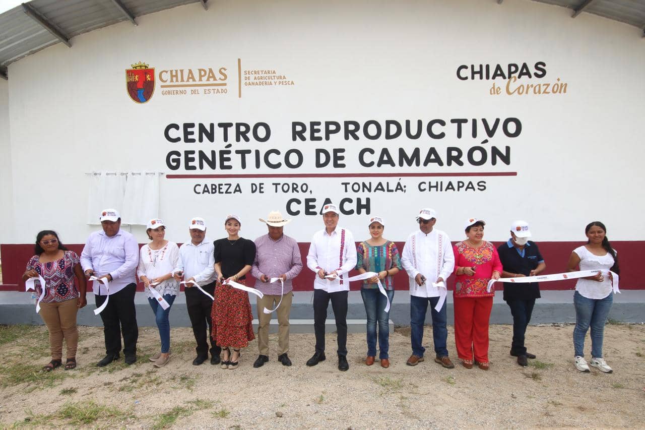 En Tonalá, Rutilio Escandón inaugura el Centro Reproductivo Genético de Camarón