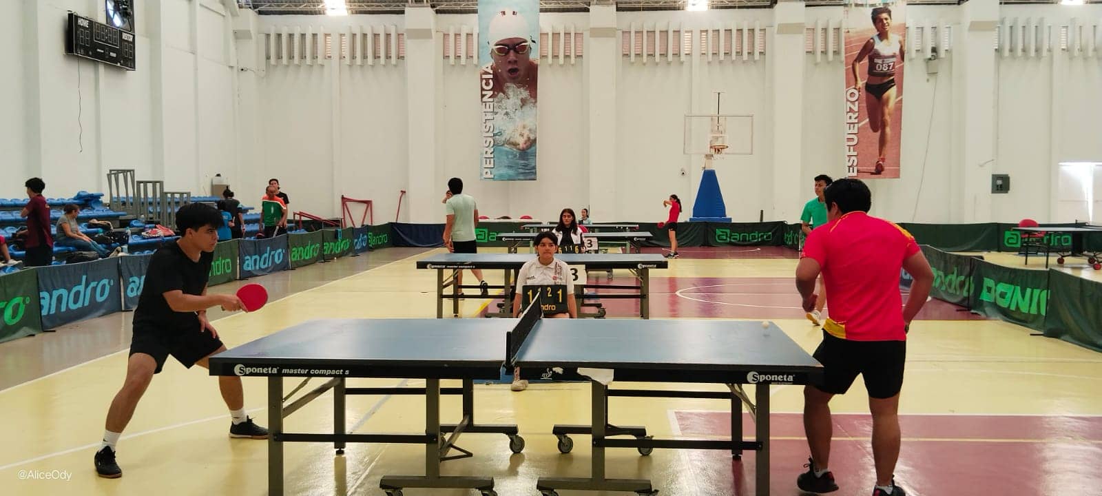 Se realizó el Selectivo Estatal de Primera Fuerza de Tenis de Mesa en el gimnasio “Chiapas de Corazón”