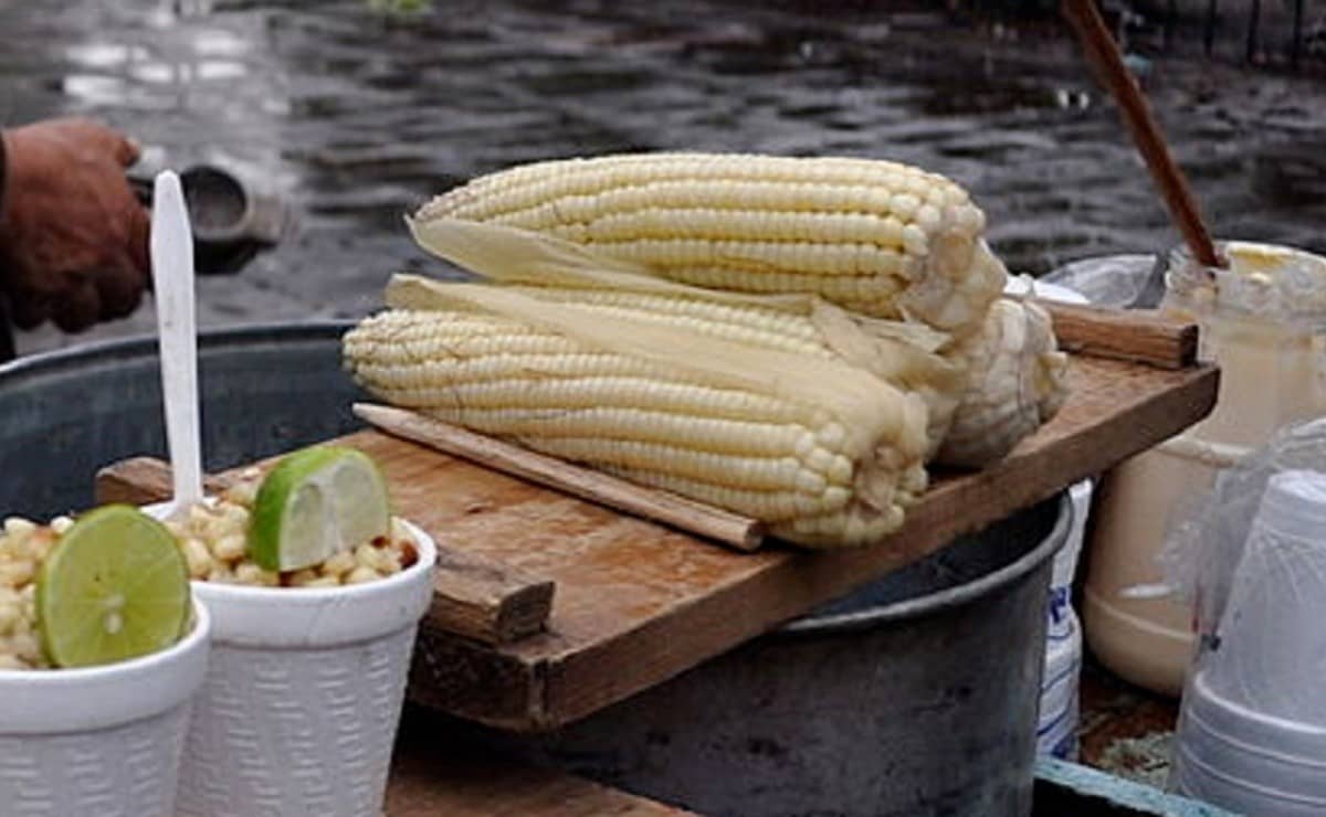 Prohíben venta de elotes y esquites en fiestas patrias de Cuernavaca; esta es la razón