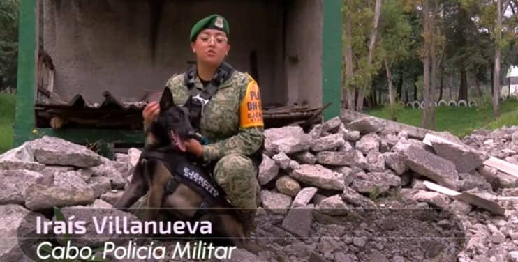 Conoce a los binomios caninos que participarán en el Desfile Militar 2024