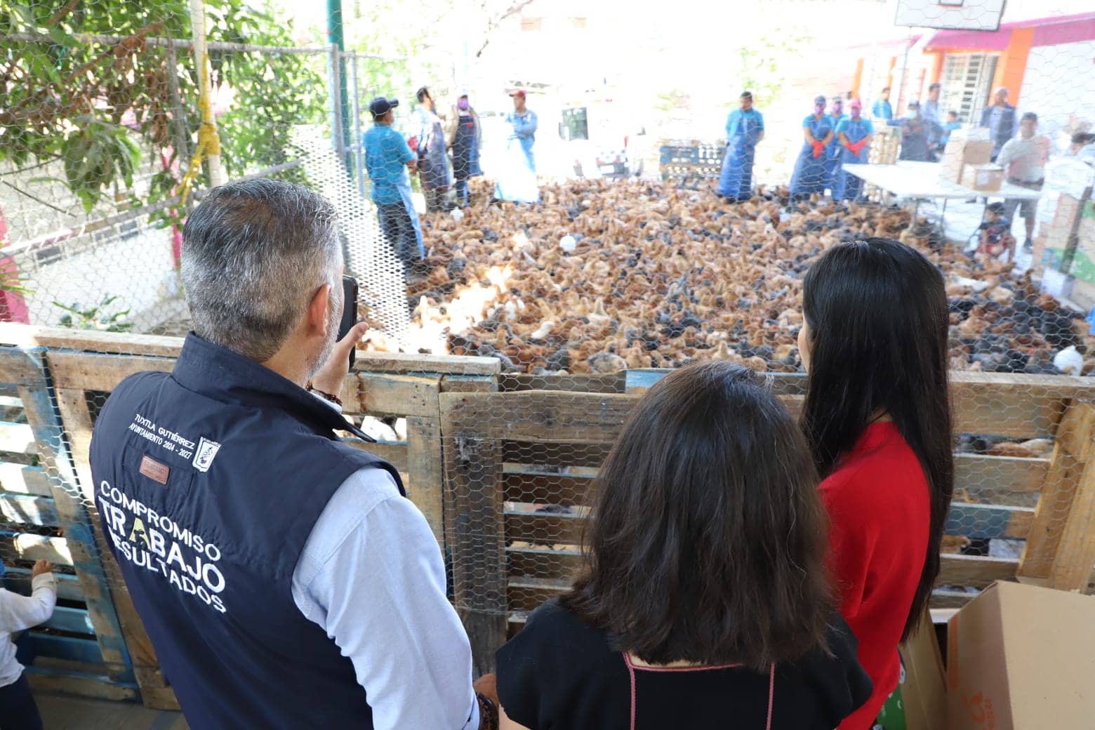 Entrega Ángel Torres aves de traspatio en beneficio de familias de Tuxtla, en la colonia Las Granjas