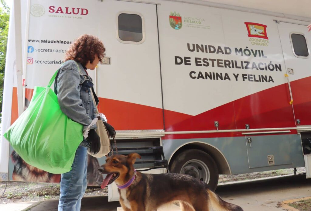 Chiapas rebasa meta de Jornada Latinoamericana de Esterilización Canina y Felina