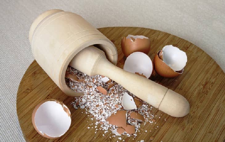 Por qué las cascaras de huevo son buenas para tu mascota