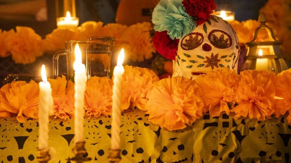 Tips para que las flores de cempasúchil se conserven en tu altar de Día de Muertos