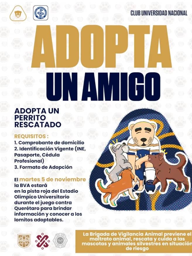 PUMAS CAMPANA ADOPTA PERRITO 2