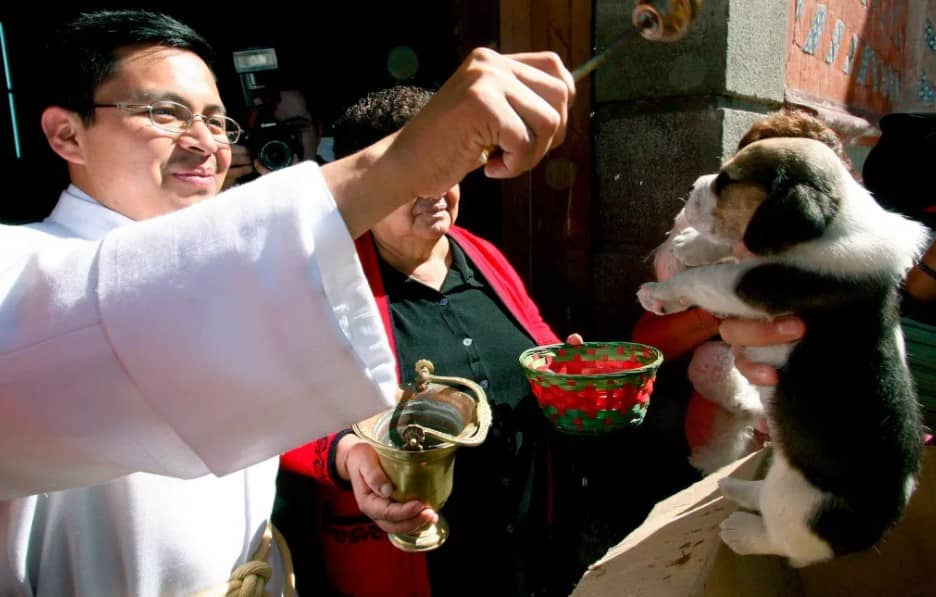 SAN FRANCISCO DE ASIS EN VALLE DE BRAVO 1