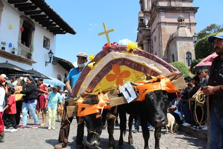 San Francisco de Asís: ¿por qué se le conoce como el patrono de los animales?