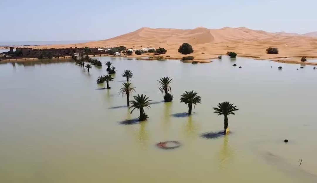 Lluvias inundan el desierto del Sahara por primera vez en más de 50 años; así luce