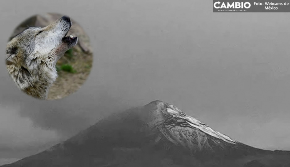 Video de aullidos en el Popocatépetl desata teorías y leyendas en redes