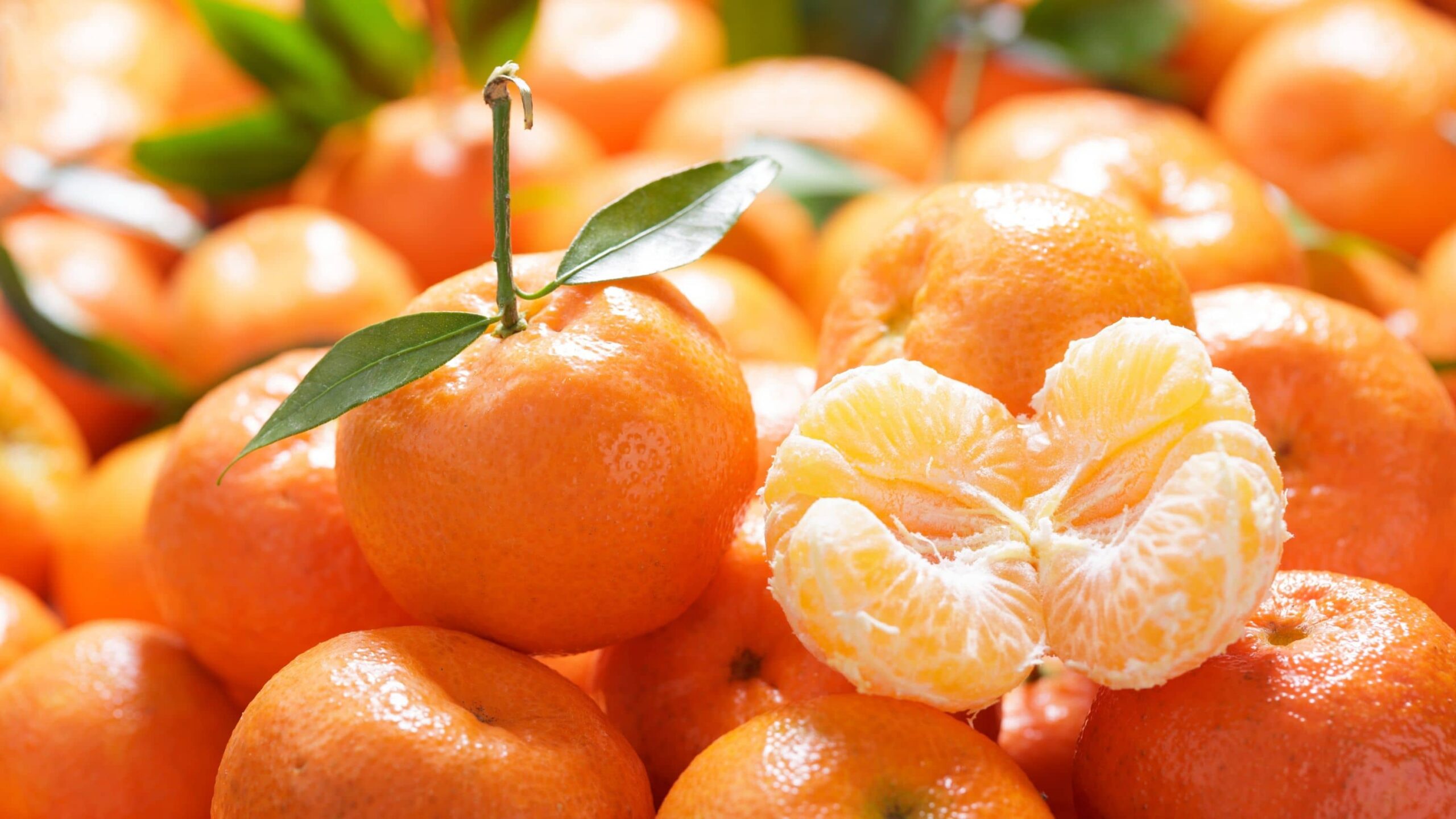 Mandarina, un sabroso aliado contras las infecciones, diabetes y hasta el cáncer