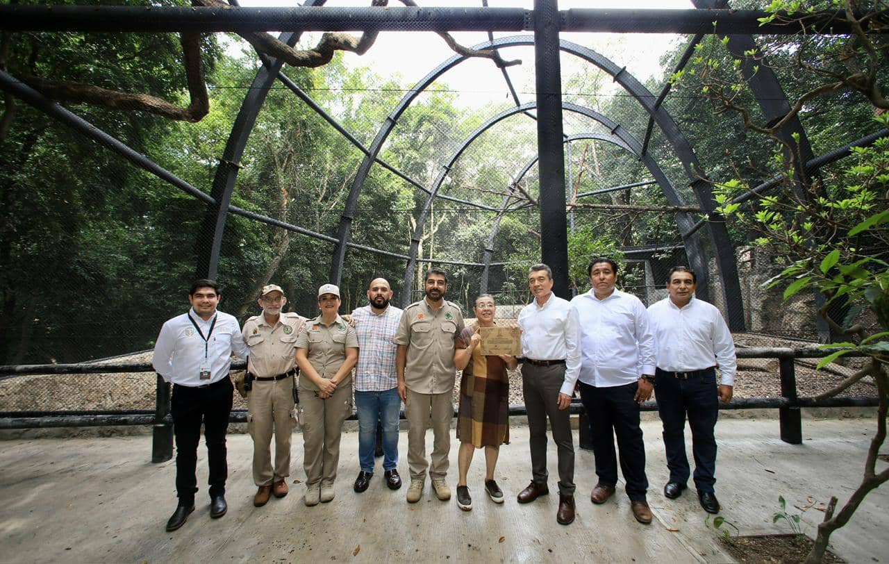 Inaugura Rutilio Escandón remodelación de los recintos del jaguar Yojk y de la nutria en el ZooMAT