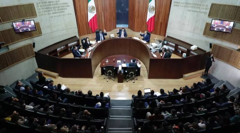 TEPJF ordena continuar proceso electoral judicial