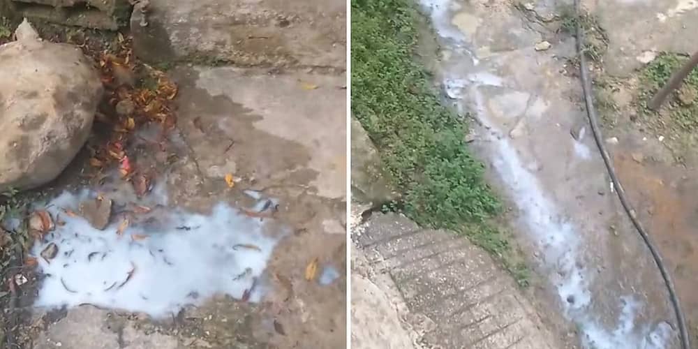 Vierten sustancia extraña en tanque de almacenamiento de agua en Tuxtla Gutiérrez; autoridades ya analizan tipo de líquido