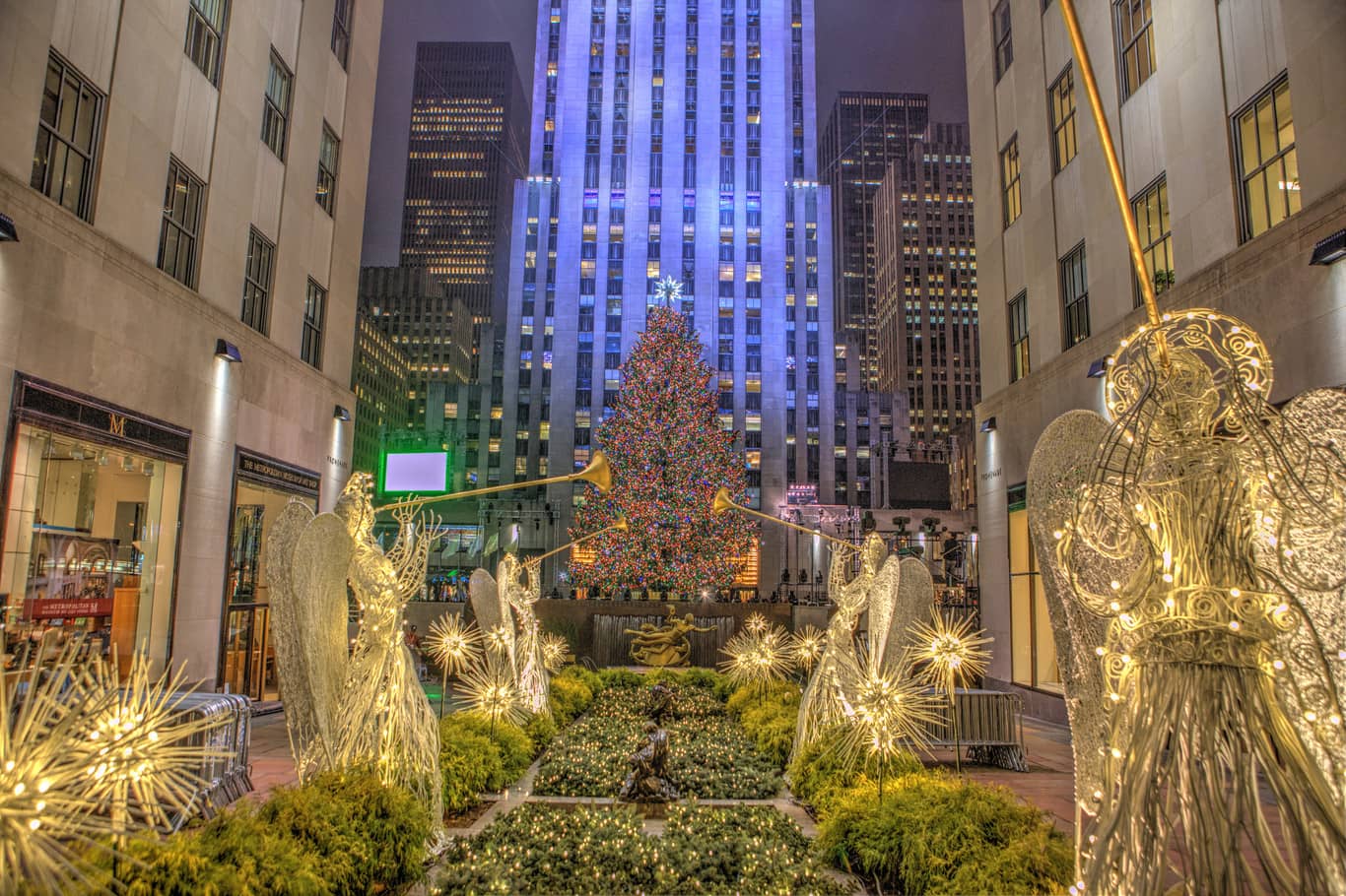 Árbol de Navidad del Rockefeller Center llega a Nueva York; estará adornado por más de 50 mil focos LED