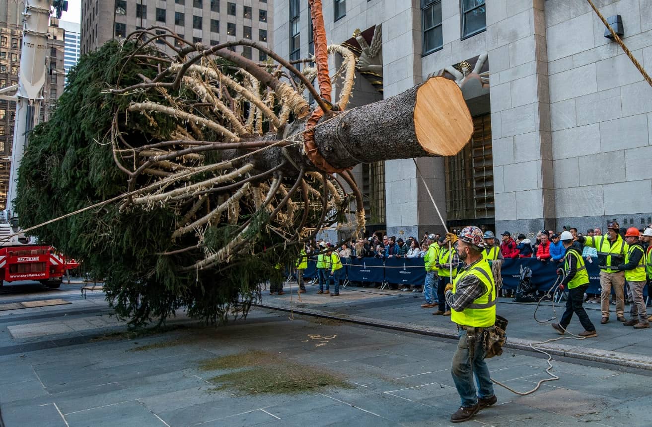 Con 3 millones de cristales Swarovski: esta es la historia Árbol de Navidad Rockefeller Center