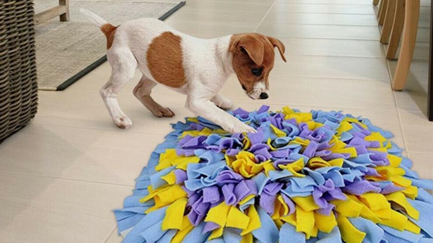 Alfombras olfativas para perros, una forma divertida de estimular sus sentidos