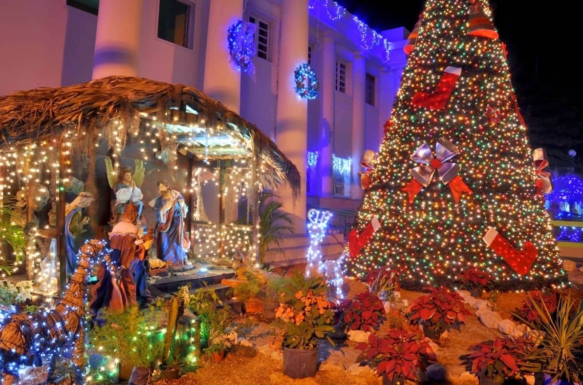 Árbol de Navidad: cuáles son los elementos que no pueden olvidar