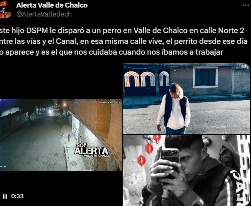 Joven dispara contra perro callejero en Valle de Chalco; vecinos exigen justicia