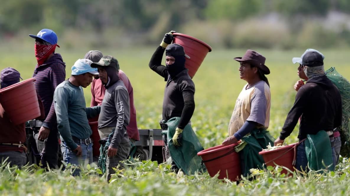 Migrantes mexicanos indocumentados dejan 42.6 mil mdd al Gobierno de EE. UU.: SRE